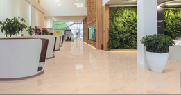 KAJARIA POLISHED VITRIFIED TILES-K 8206