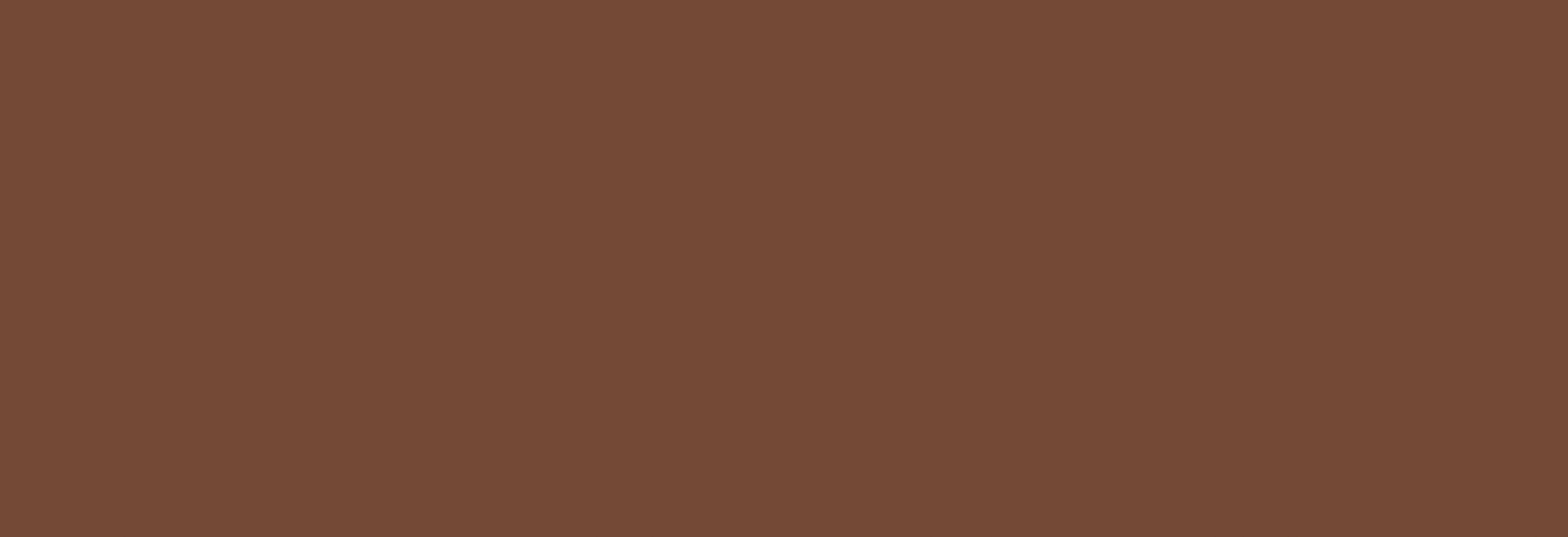 Kajaria  Vitronite Full Body  Brown 2400x800mm