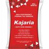 KAJARIA  VX-2 WHITE ADHESIVE