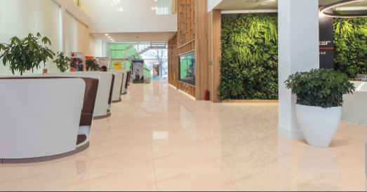 KAJARIA POLISHED VITRIFIED TILES-K 8206