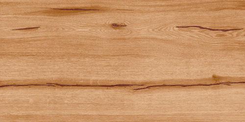 JOHNSON PORSELANO FERRO WOOD GOLD 1200X600mm