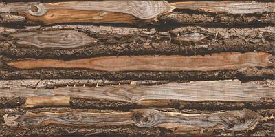 KAJARIA JUNGLE WOOD 30X60 CM