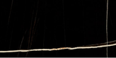 ANTIEK LAURANCE BLACK 1200X600mm